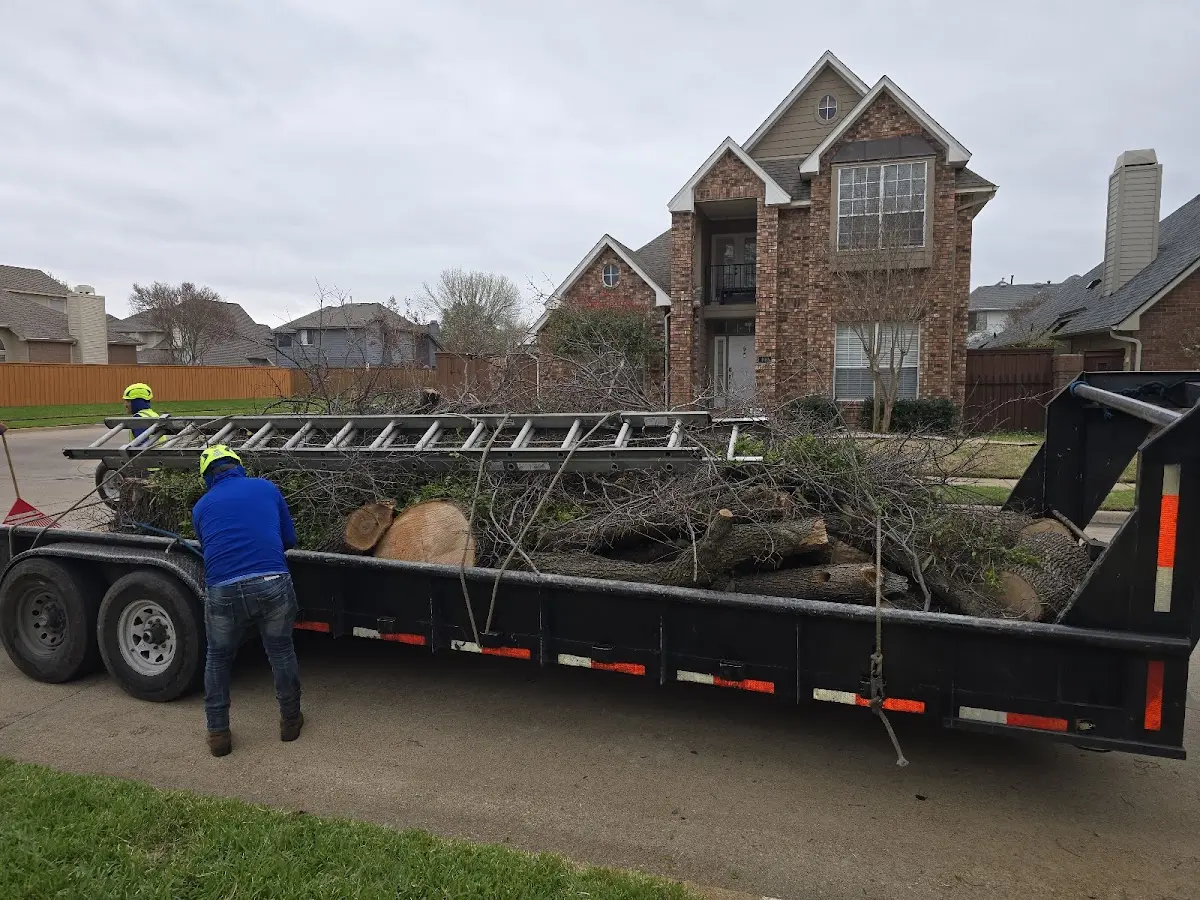 Expert Tree Pest Control with proper safety equipment in Perry